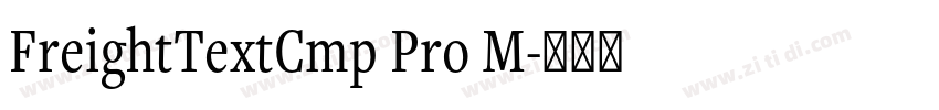 FreightTextCmp Pro M字体转换 FreightTextCmp Pro M字体转换